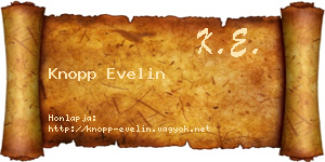 Knopp Evelin névjegykártya